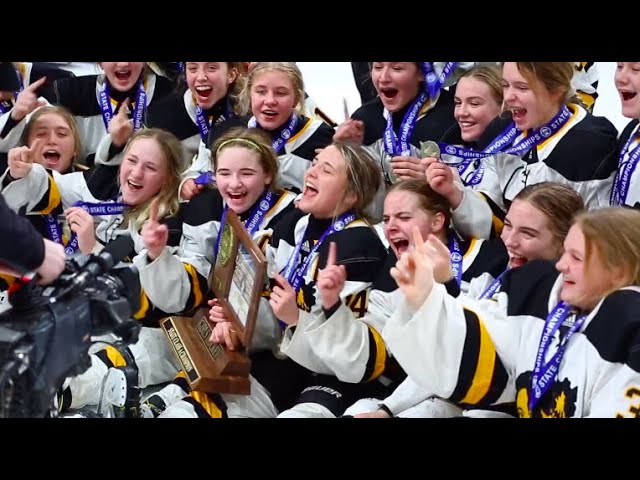Mshsl Girls Hockey – The Best in the State