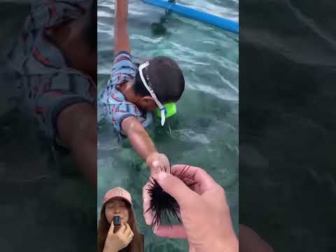 RAMBUTAN ATAU BULU BABI ⁉️KOK TUMBUH DI AIR 😱