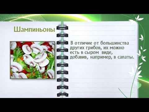 Кулинарная энциклопедия - Шампиньоны - UC7XBjhXnmmXFsxmnys9PmDQ