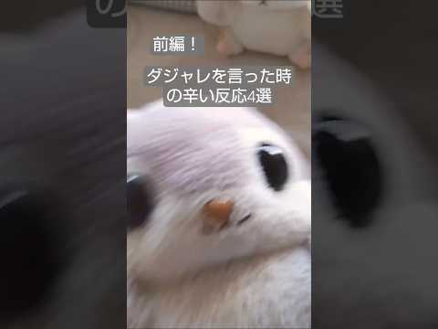 ダジャレを言った時の辛い反応#雑学 #ダジャレ #モモンガ