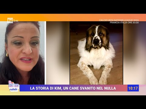 Vacanze e animali domestici: lasciare gli animali in mani sicure - Unomattina Estate 06/09/2024