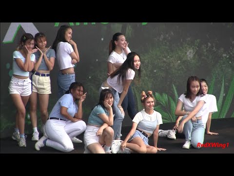 (Part 1) Amethyx & Checkmate - K-POP Cover Dance Performance KAMP Singapore 2019