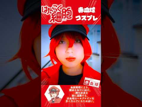 【はたらく細胞】コスプレやってみた！ 白血球 赤血球   Cosplay Cells at Work! アニメ 映画 コミック ♥ -Bonitos TV- ♥