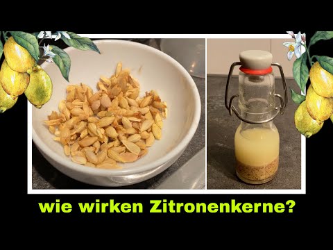 Zitronenkerntinktur Tinktur aus Zitronenkernen ansetzen | Zitronen Rezept | Selbstversorgung 