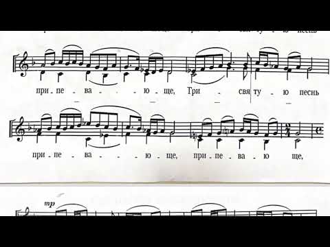 Херувимская песнь  1 Т.Метелёвой. 2 голоса