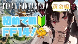【FF14】ピルグリム61階から【鉄穴森叫子】