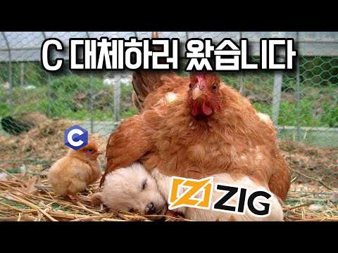 지그 (Zig)가 새로운 C가 될 수 있을까?