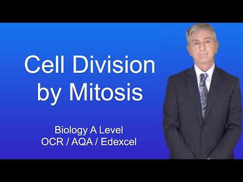 A Level Biology Revision “Cell Division by Mitosis”