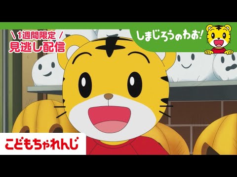【見逃し配信】テレビ番組「しまじろうのわお！」 10月25日放送 ｜ハロウィンで へんしん！｜#696 【しまじろうチャンネル公式】