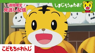 動画サムネイル