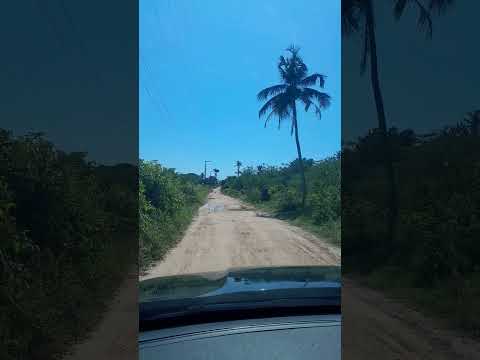 As vezes dar vontade de ir parar em Torenza #memes #shorts #torenza