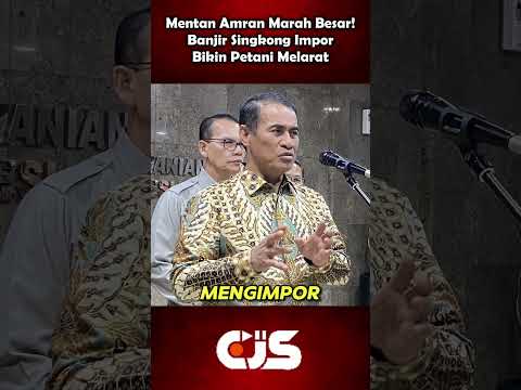 Mentan Amran Marah Besar! Banjir Singkong Impor Bikin Petani Melarat
