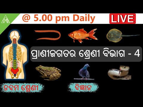 🔴Aveti Live Class-IX|14th May |ପ୍ରଣୀଜଗତର ଶ୍ରେଣୀ ବିଭାଗ-4।Class 9 SCL|Aveti Learning