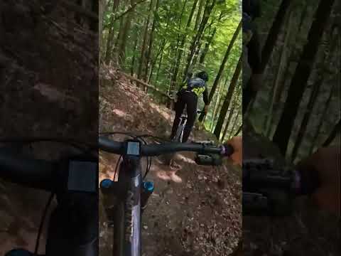 If you Mountain Bike… Slovenia should be on your bucket list! 🪣