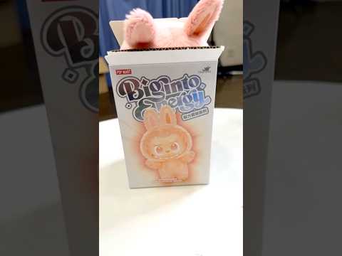 不思議なラブブ😂😂😂 #shorts #funny #Subscribe