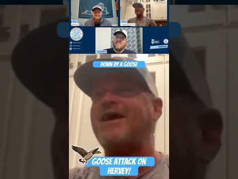 You’re never safe at an ODU Baseball golf tournament when there’s a goose on the course!