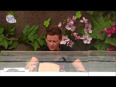 Tomorrowland 2013 - Fedde Le Grand - UCsN8M73DMWa8SPp5o_0IAQQ