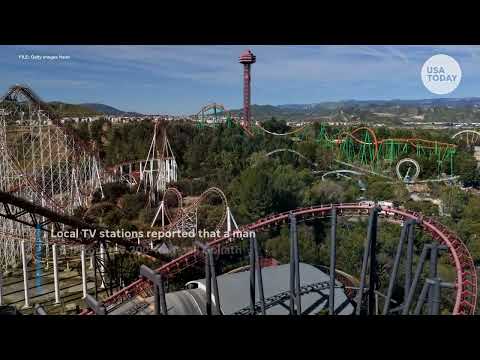Man dies after falling off Six Flags roller coaster in Georgia