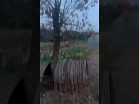 ngày 22 tháng 10, 2025