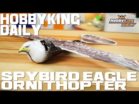 Spybird Eagle Ornithopter - HobbyKing Daily - UCkNMDHVq-_6aJEh2uRBbRmw