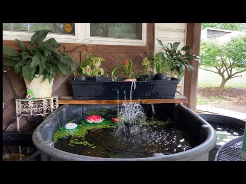 Tuesday Night on the Porch with Susan for SLC Aqua Tonight I will attempt to stream on the porch by the tub water features with my shubunkins. I worked