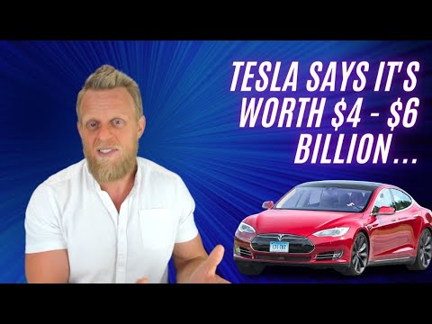 Tesla's genius side business made them billions in 2022