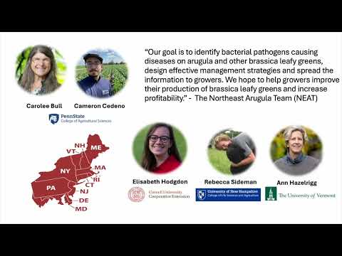 2024 Northeast IPM Research Update Conference