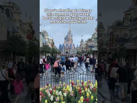 Water Bottle Testing for Disney World 💦