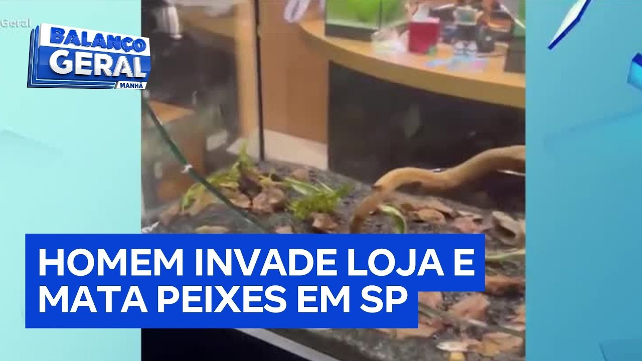 Homem invade loja quebra aquários e provoca mortes de peixes em São Paulo