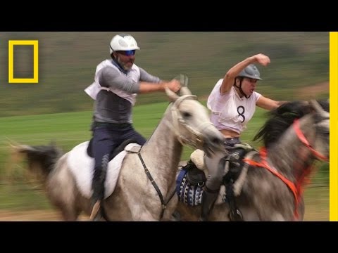 Grueling 80-Mile Horse Race Demands More Than Speed | National Geographic - UCpVm7bg6pXKo1Pr6k5kxG9A