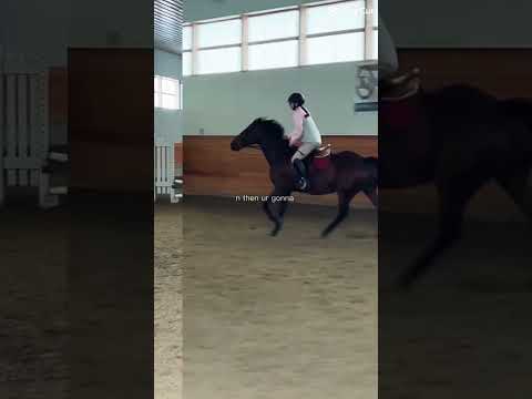He bucked like 5 times in this lesson but he was still a good boy ❤️ #equestrianjourney #horse