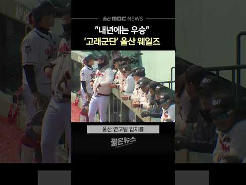 울산 웨일즈, 내년 우승 목표‥'고래군단' 순항