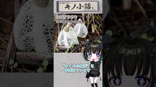 純白のレースが優雅なキノコ界の女王様！キヌガサタケを紹介🍄【奇ノ駒たんごのキノ小話ショート#24】#雑学 #豆知識
