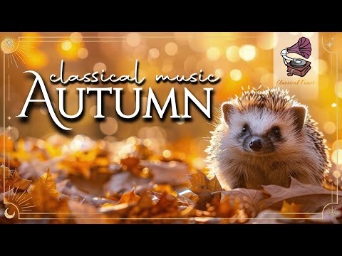 Autumn Classical Music | The Perfect Classical Playlist For A Cozy Autumn Day