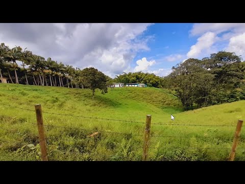 Finca con Río, Piscina, Caballerizas y Árboles Frutales en Venta $80,000 a Precio de Oportunidad