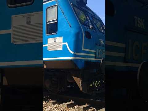 train 🚆🚂#shotsvideo #train #ekmotahathighumechala #publictransport #railwaystation #railwaystation