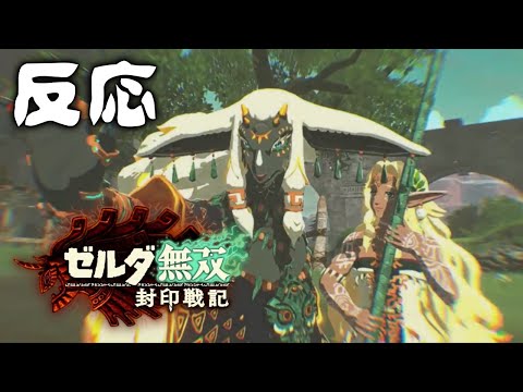 ティアキン無双【反応】封印戦記 [Nintendo Direct ソフトメーカーラインナップ 2025.7.31]
