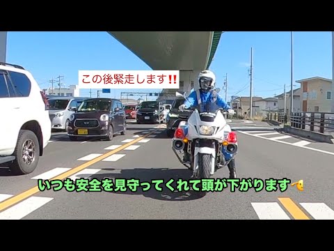 雑い車が再び急増してる国道22清須をカブで流してみたら、最後はS660をマークして白バイ緊走！