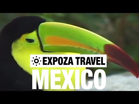 Mexico Vacation Travel Video Guide - UC3o_gaqvLoPSRVMc2GmkDrg