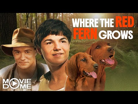WHERE THE RED FERN GROWS - (Family Adventure Movie) - FULL MOVIE
