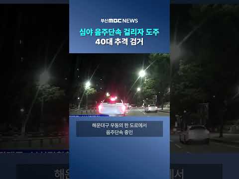 심야 음주단속 걸리자 도주한 40대 현장 <strong>검거</strong>