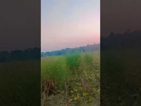 23 अक्तूबर 2025