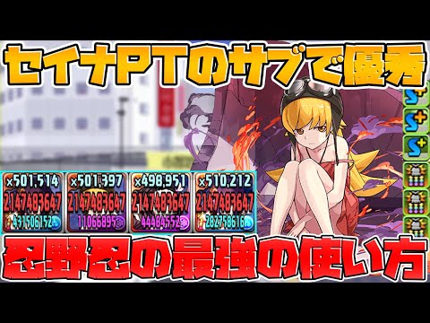 忍野忍の使い道！セイナPTでスキブ5の優秀アタッカーに！【パズドラ】