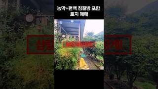 유튜브이미지