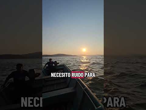 #fblifestyle #reflexiones #paisajes #atardecer #fishing #hemoso #lurefishing #Amazing #fraces