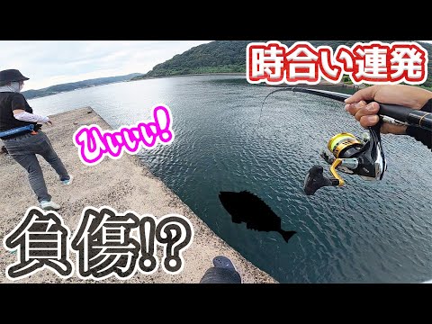 9個下の妻と離島防波堤で釣りをしたら○○○が連発して旦那が襲われました…