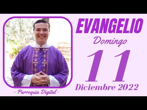 Evangelio de hoy Domingo 11 de Diciembre de 2022 - Salmo da Bíblia