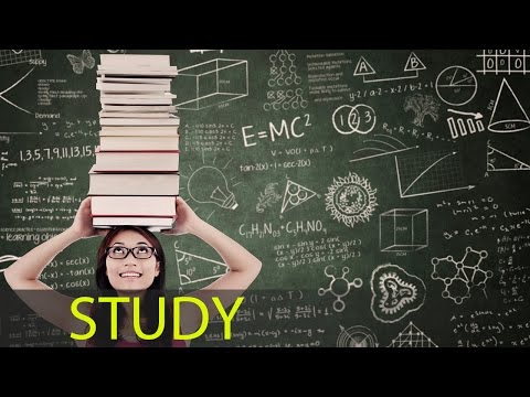 Study Music Alpha Waves: Focus Music, Concentration Music, Studying Music, Work Music  ☯369 - UCmQK52xYtdeg7EYiQhqEeZA