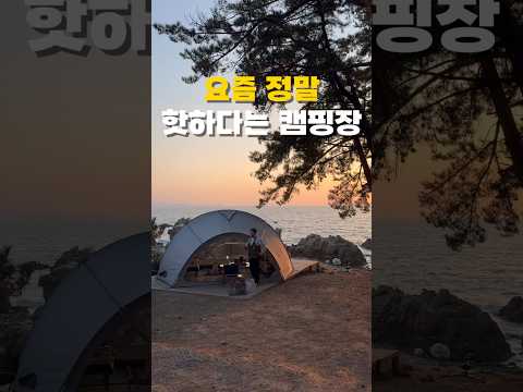 최고의 오션뷰 캠핑장 🌊 #캠핑 #캠핑장추천