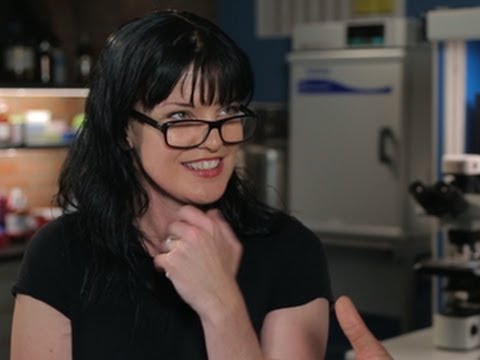 CNET's Hooked Up - On the set of 'NCIS' with Pauley Perrette and her tech toys - UCOmcA3f_RrH6b9NmcNa4tdg